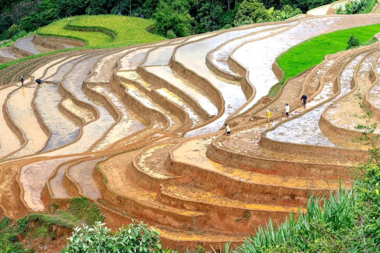 Sapa Fantasea Homestay Exterior foto